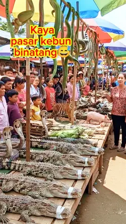pasar kebun binatang