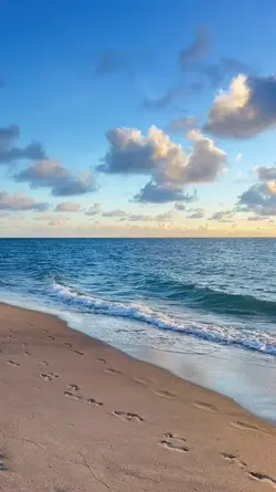 Cinematic Pantai