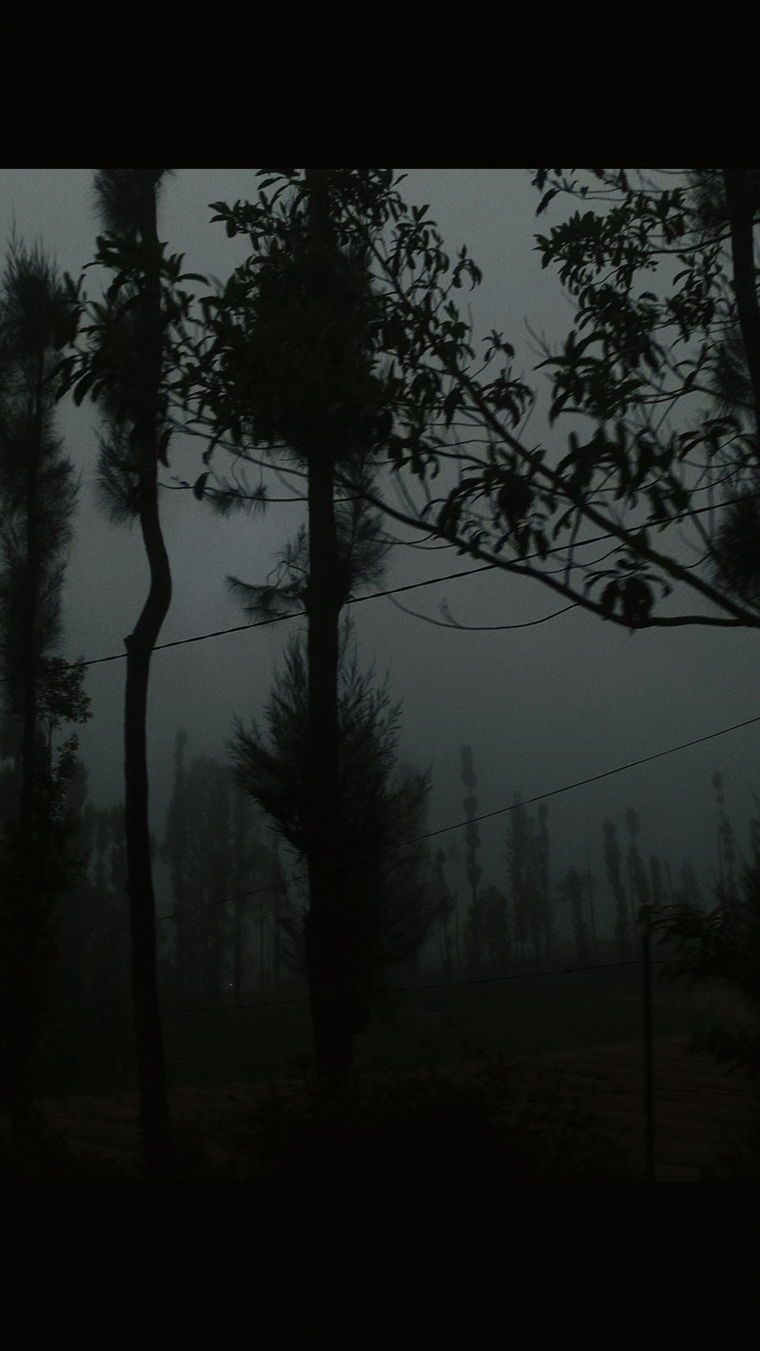 dark vibes with fog