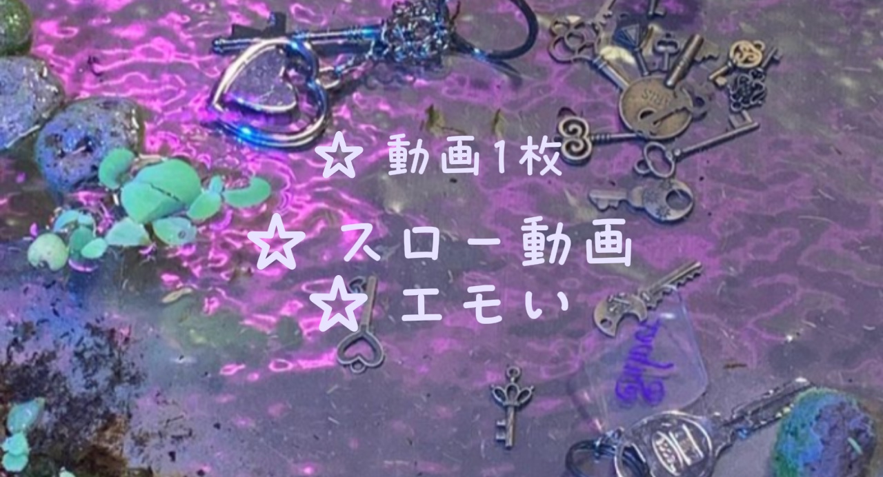 最高の瞬間を思い出そう！