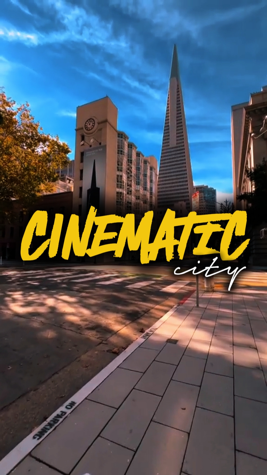 CINEMATIC CITY