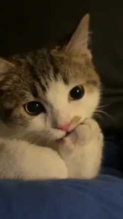 having a lot mistake