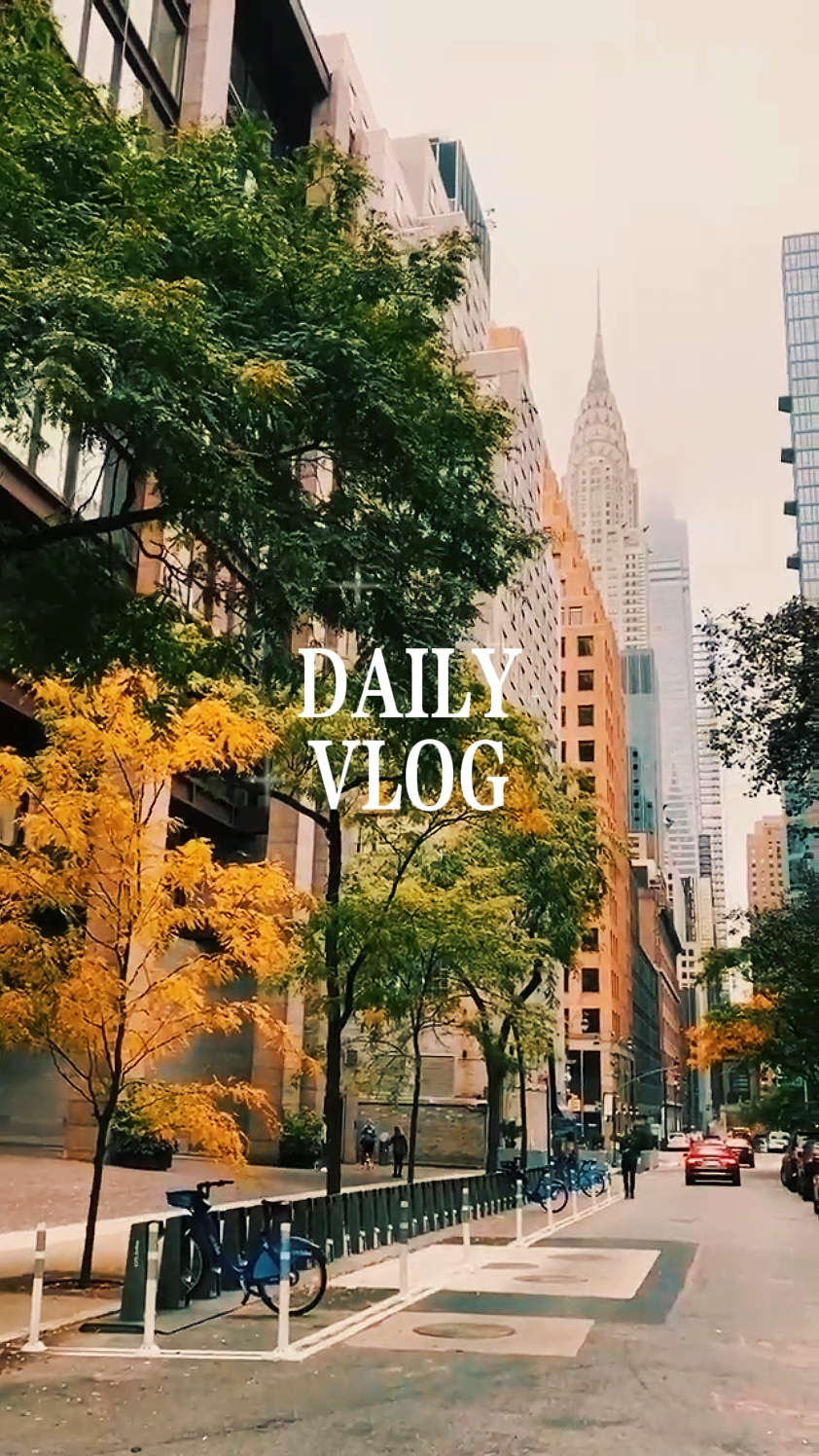 daily vlog