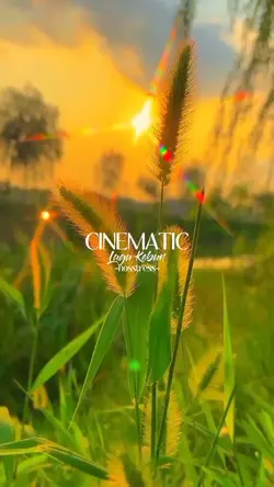 cinematic lagu kebun
