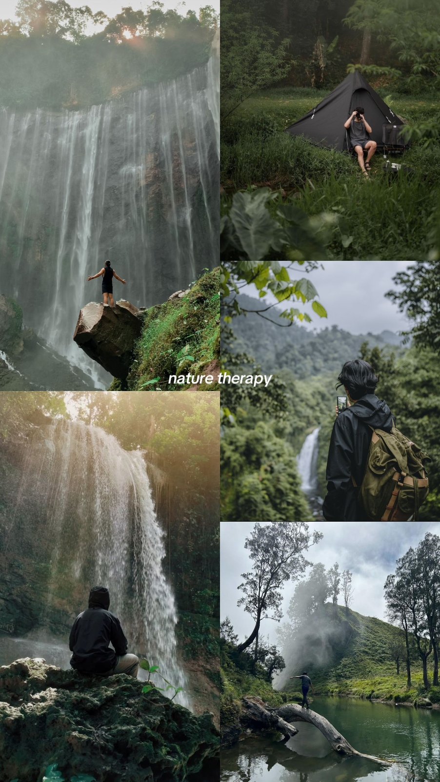 Terapia de la naturaleza