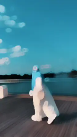 Nice Slowmo