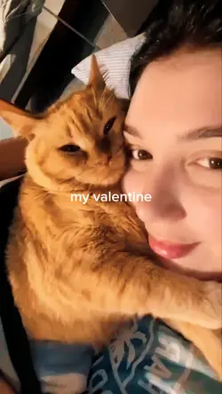 cute cat