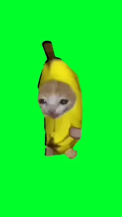 cat banana