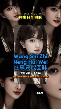 Wang Shi Zhi Neng Hu