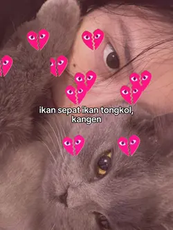 ikan sepat ikan