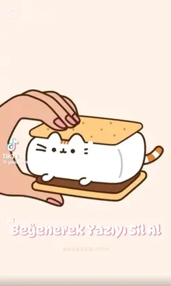 Pusheen