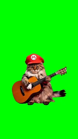 Cat Playing Guitar 