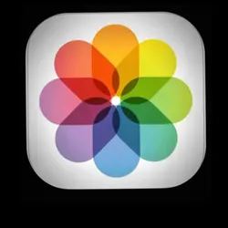 photo gallery