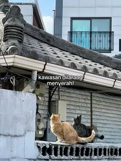 kawasan mesin tempur