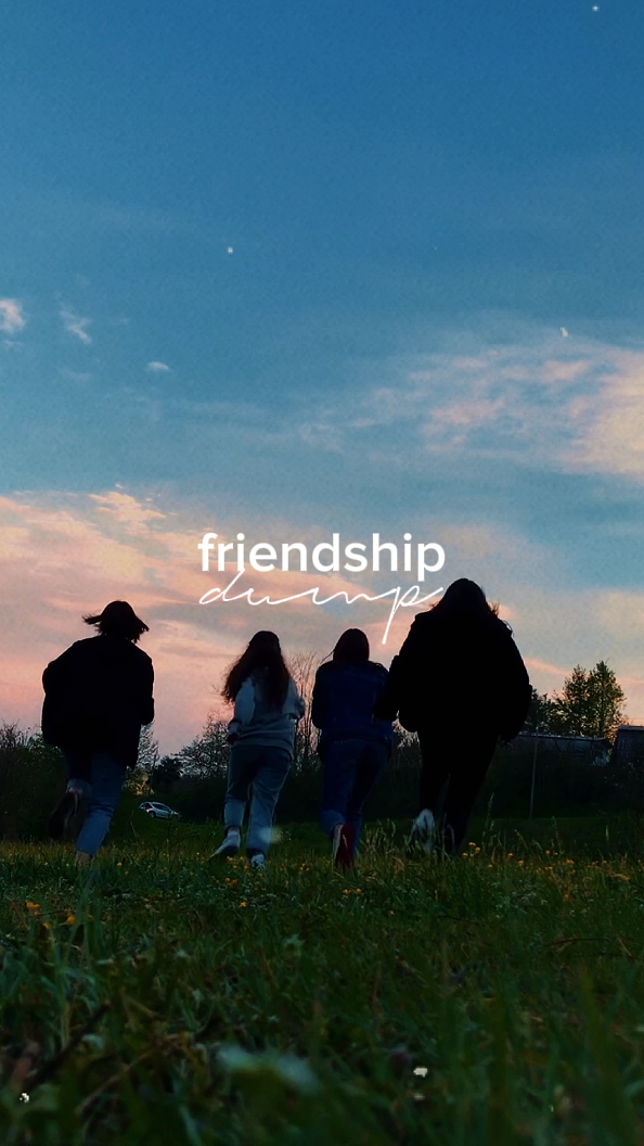 Volcado de amistad