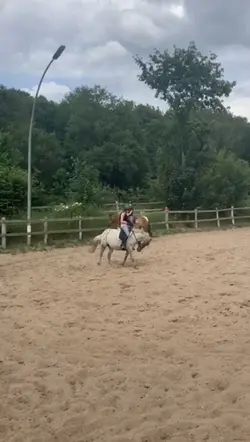 BUCKY PONY🌝✨