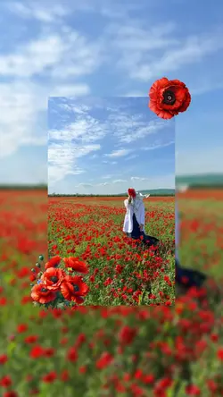 Huzur Veren Şablon 