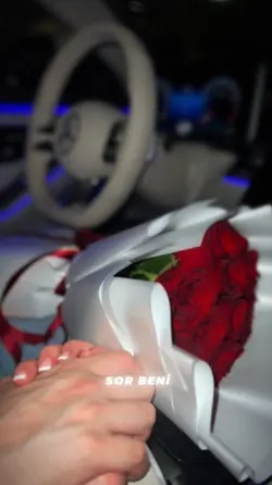 Şablon ücretsiz koş