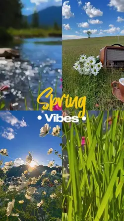 Spring Vibes