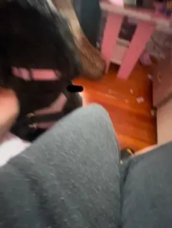 KAMALA HARRIS 2028🇺🇸👩🏾