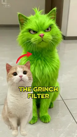 The Grinch filter