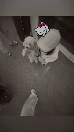 thay 1 ảnh