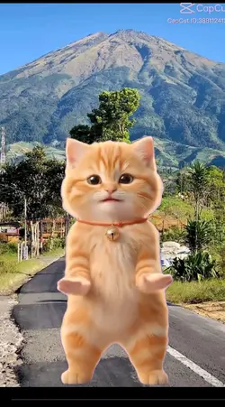 kucing 