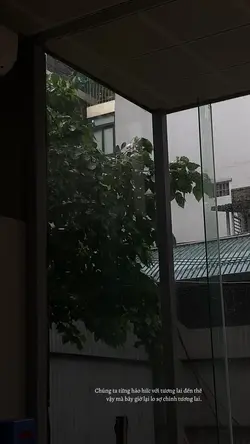 1 video