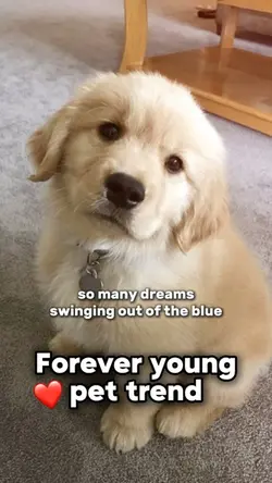 Forever young🐶❤️