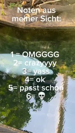 Noten aus meiner Sic
