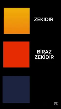 şablonu kullan 