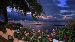 yeni şablon 