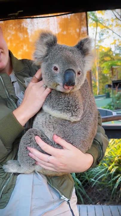 Zoo