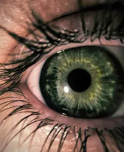 Dark green eye 