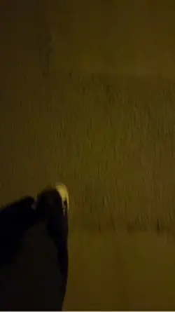 Wir sind nicht gleic