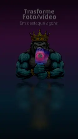 destaque foto/vídeo 