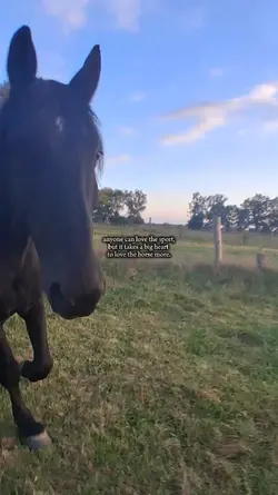 horse template