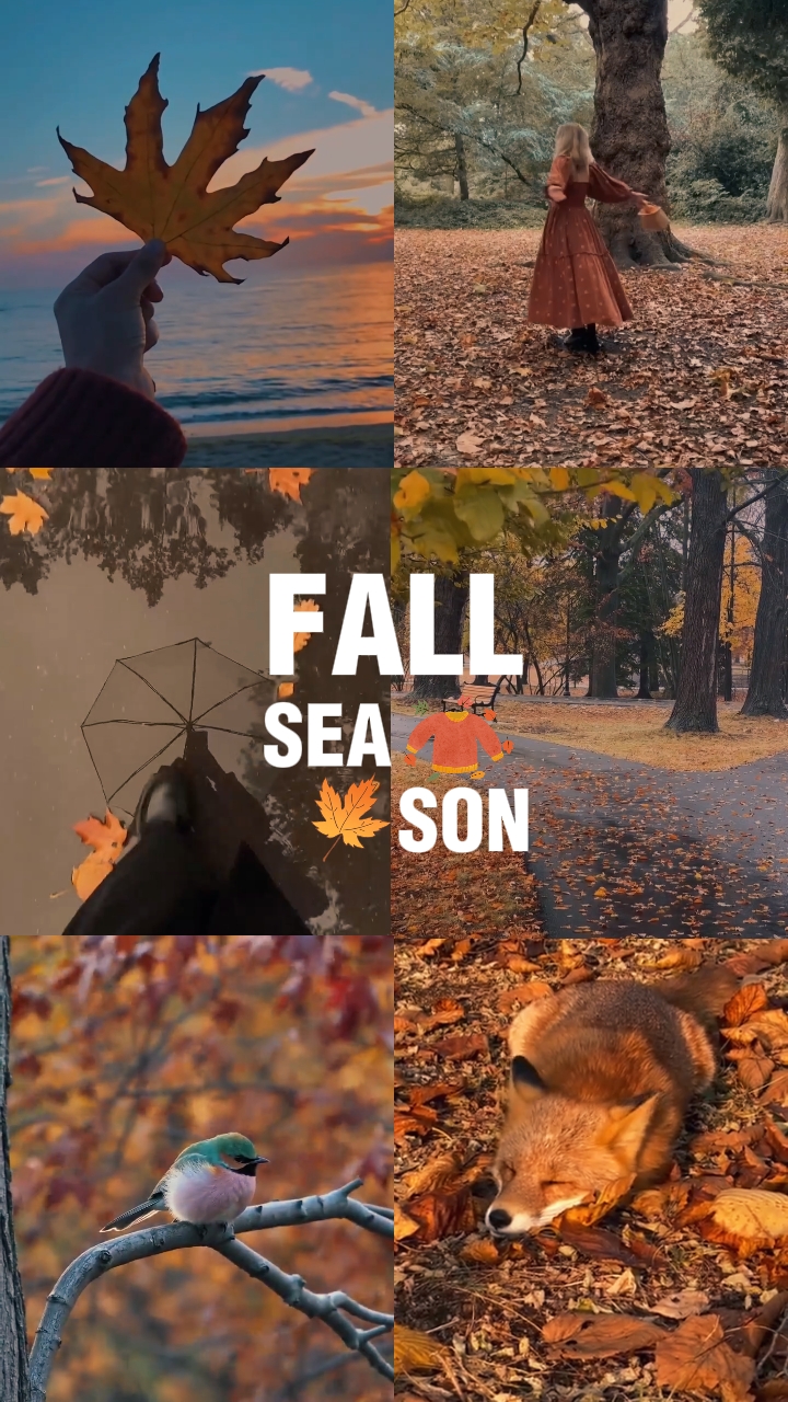 Saison d'automne 