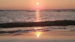 範本分享