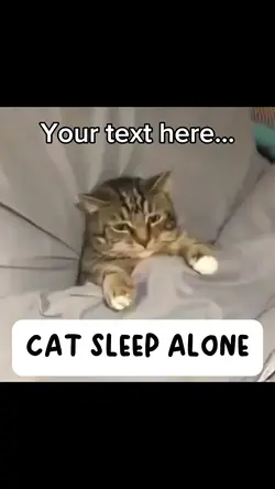 CAT SLEEP ALONE