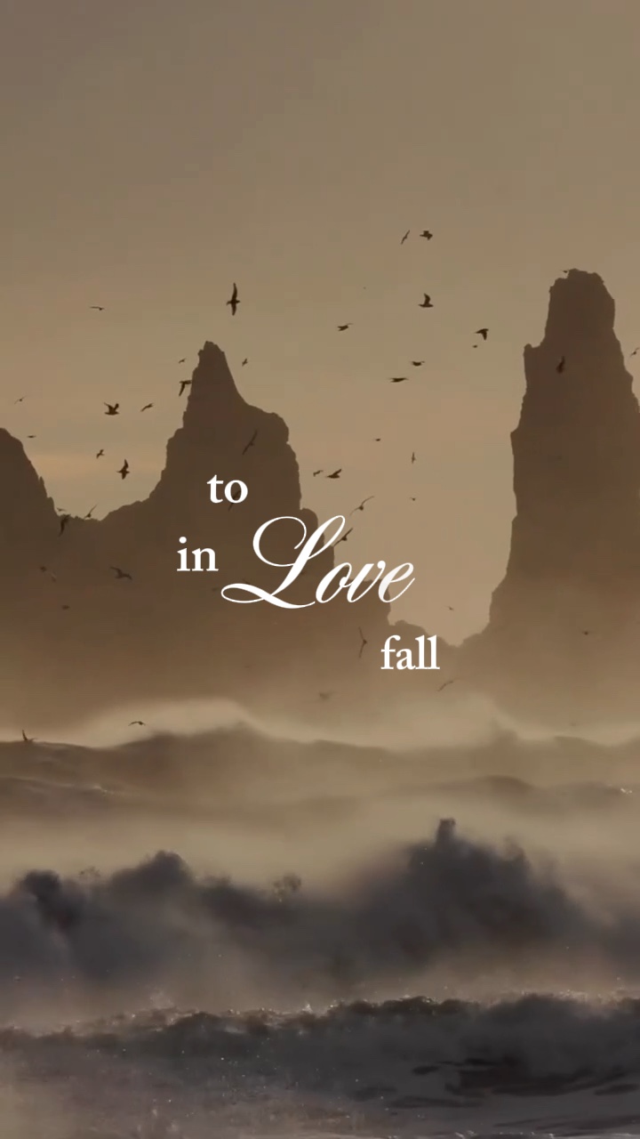 fall into us 