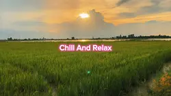 Chill And Relax