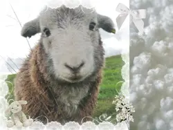 Moodboard ☁️🤍