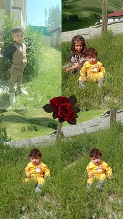 yeni Şablon 
