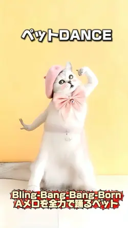 Bling‐Bang-Bang-Born