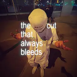 the cat always bleed
