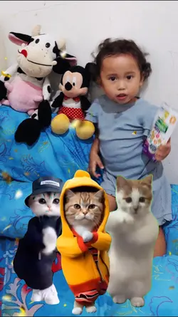 Joget 3 Kucing Lucu