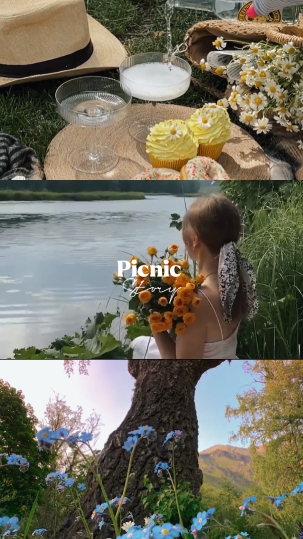 Picnic Story