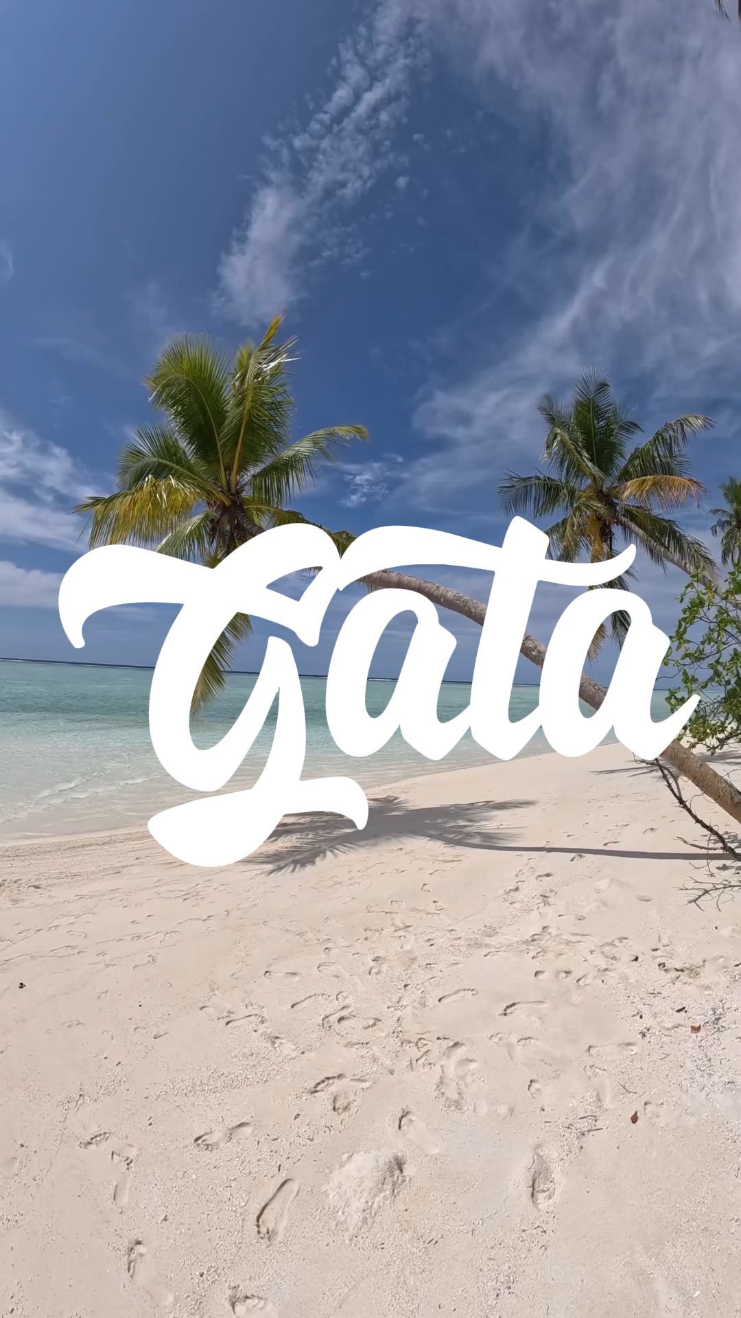 Gata Only