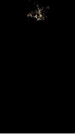 音楽